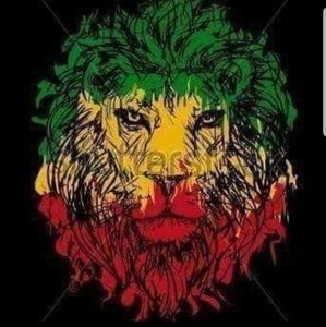 Meet your Posher, Teddy